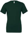 CA3001 CV3001 Retail T-Shirt Forest Green colour image